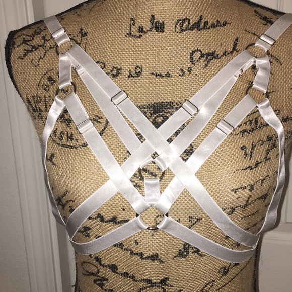 Body harness - Picture 3 of 4